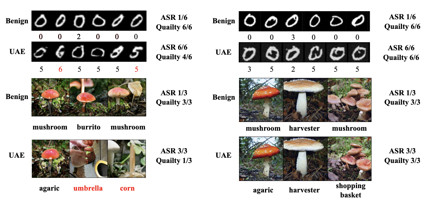 AdvDiff comparisons